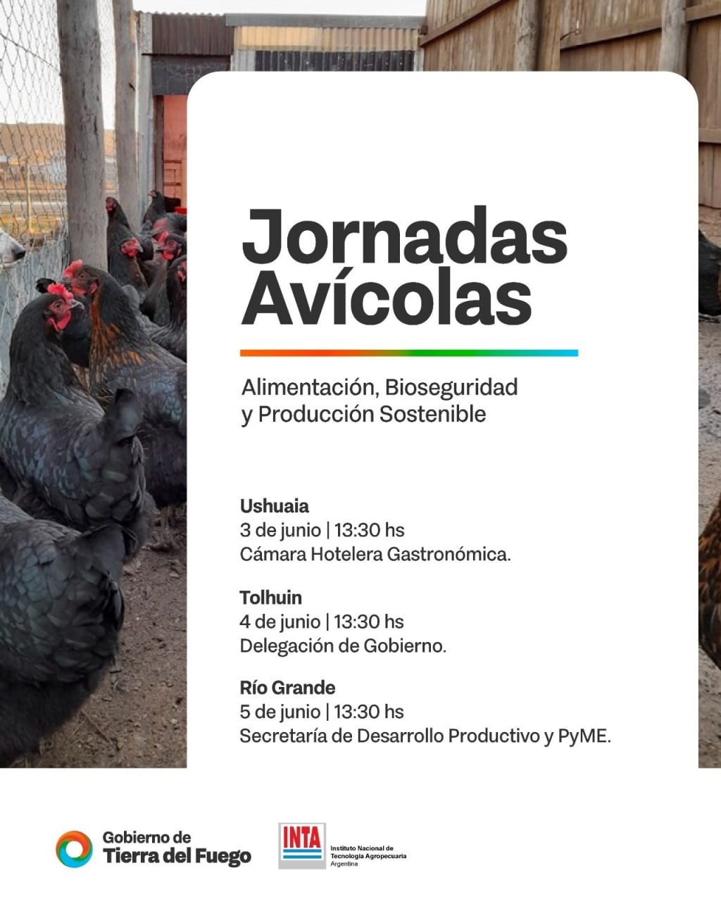 Produccion Local La provincia impulsa jornadas avícolas para fortalecer la producción ...